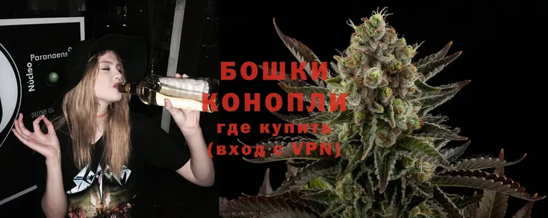 Бошки марихуана OG Kush  Ишим 